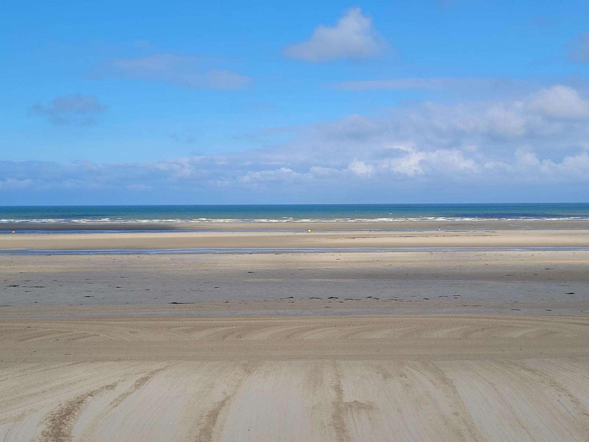 Roses Des Dunes Fort-Mahon-Plage